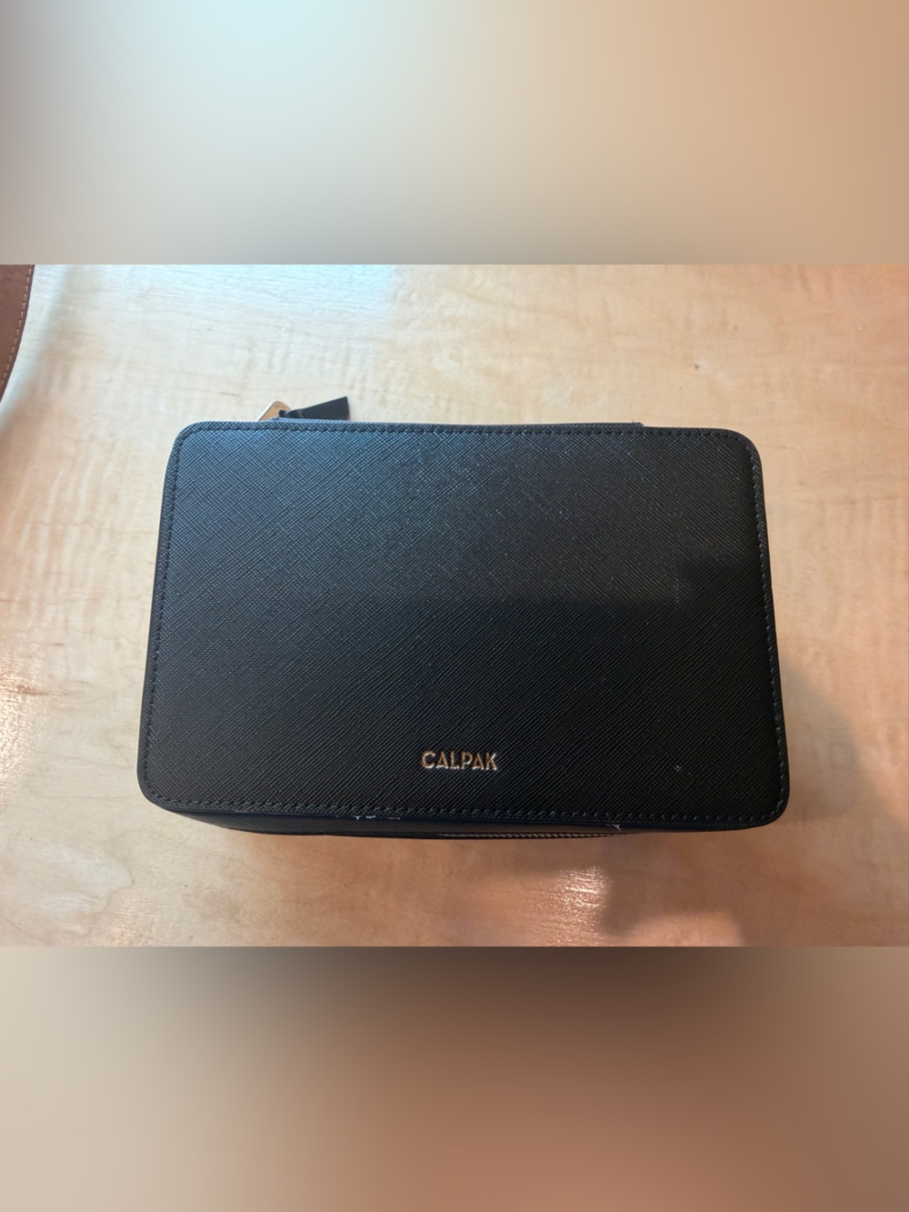 Calpak Travel Jewelry holder